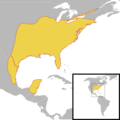 Thryothorus ludovicianus species distribution map
