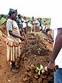 Trees planting in Konso