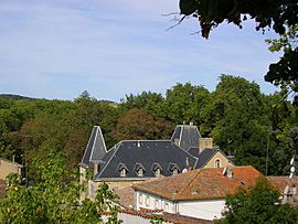 The chateau in Saint-Michel-de-Lanès
