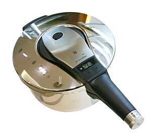 WMF Schnelldrucktopf 4,5 Liter Perfect Ultra retouched