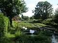 Watercress beds, Ewelme - geograph.org.uk - 1439428