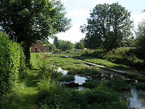 Watercress beds, Ewelme - geograph.org.uk - 1439428