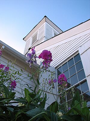 West Union Baptist Church sweet peas - Oregon