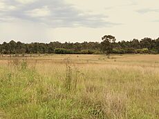 WesternSydneyParklands