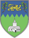 Wicklow county arms.png