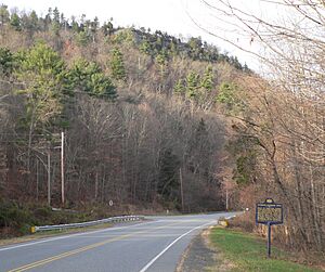 Wyoming-Minisink Path historic marker 2