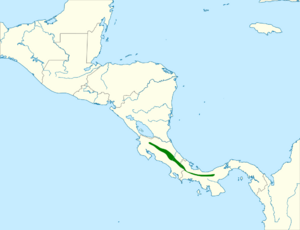 Zeledonia coronata map.svg
