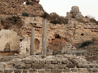 71-7100-100 - תל אשקלון - שרידי כנסיית סנטה מריה וירידיס - לריסה סקלאר גילר (3).jpg