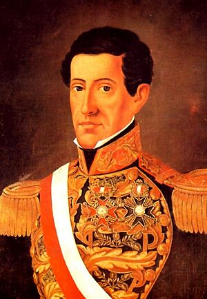 Agustin Gamarra (Recorte)