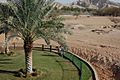 Al Ain Zoo - panoramio (3)