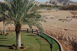 Al Ain Zoo - panoramio (3)