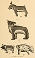 Animal effigies of the Zuni