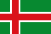 Flag of Arcenillas