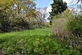 Basildon Meadows 3