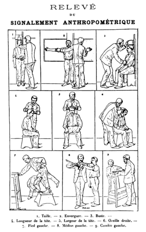 Bertillon - Signalement Anthropometrique