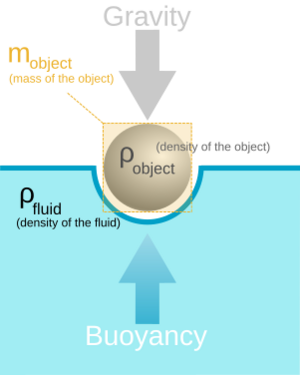 Buoyancy