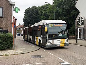 Bus Baarle-Nassau