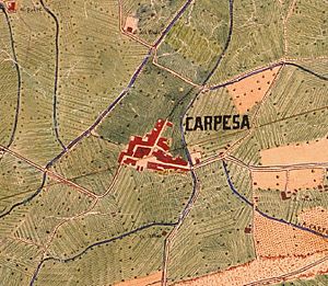 Carpesa (València); de 1883