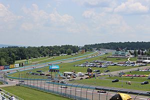 Cars drive through the Esses during the 2014 Sahlen's Six Hours of The Glen