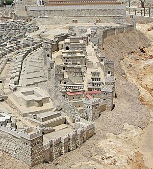 City of David