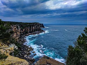 Cliff heads, North Head sanctuary, Manly, NSW
