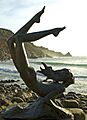 Colin CaffellNaiad greenwave
