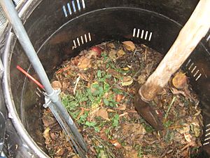 Composting in the Escuela Barreales