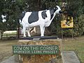 Cow on the Corner, Brunswick, Western Australia