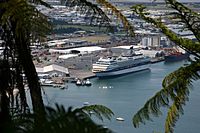 Cruise Ship In Port Of Tauranga