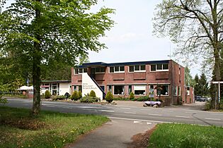 De Lutte, Het Grote Zwaantje - panoramio