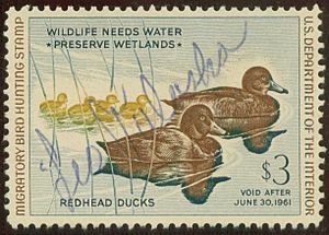 Duck stamp