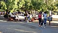 Duffeeland Dog Park 5766