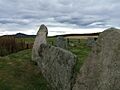 East Aquhorthies Stone Circle - geograph.org.uk - 602379