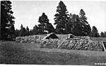 Elden Ruins - 1926.jpg