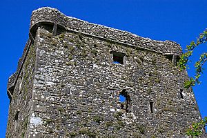 Feartagar Castle, County Galway - bartizans