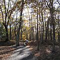 Fort Mill Ridge Civil War Trenches Romney WV 2008 10 30 09-square