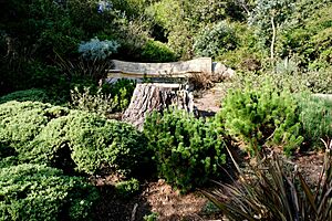 Golden Gate Park - National AIDS Memorial Grove - March 2018 (2341)