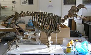 Hippo-Cyprus.JPG
