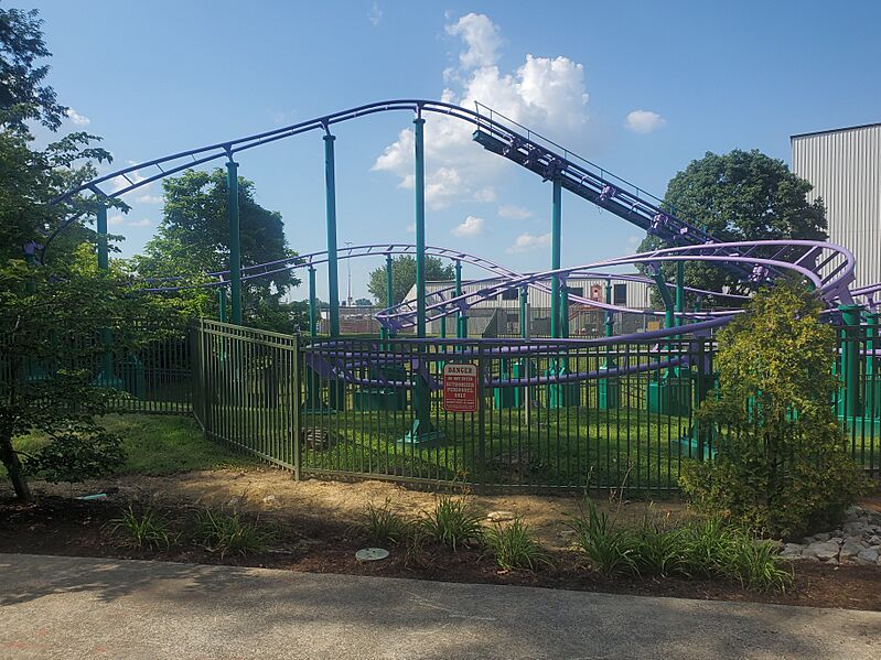 Hollyhock and Roll 2