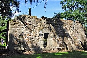 Kilcroney Church ruins - geograph.org.uk - 2002857.jpg