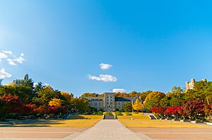 Korea University