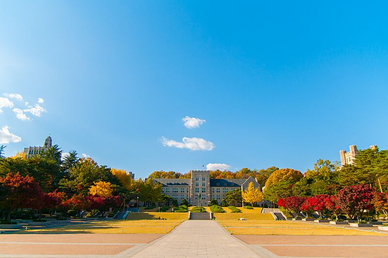 Korea University