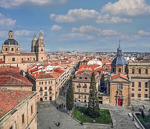 La Clerecía, la Rúa Mayor y la Plaza de Anaya desde la Catedral Nueva (Salamanca) edited