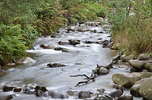 Little River at Cathedral Range State Park