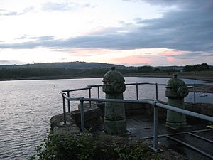 Llanishen Reservoir (semi-drained) - original feature