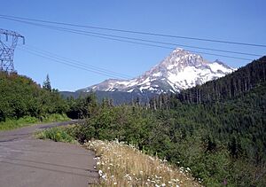 Lolo pass medium with mount hood background P3125