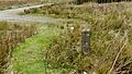 Margam Park, Bodvoc stone - replica, in ring cairn
