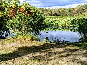 Mill Pond Preserve Wantagh