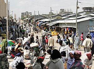 Monday market, Mek'ele 04