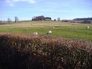 The site of the deserted village of Muscott